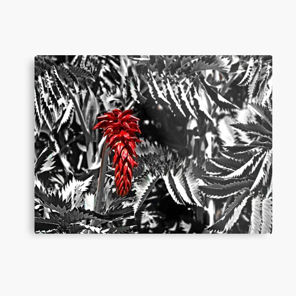 In Bloom Metal Print
