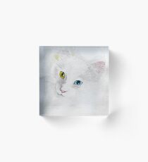 Finn - Norwegian Forest Cat (watercolour) Acrylic Block