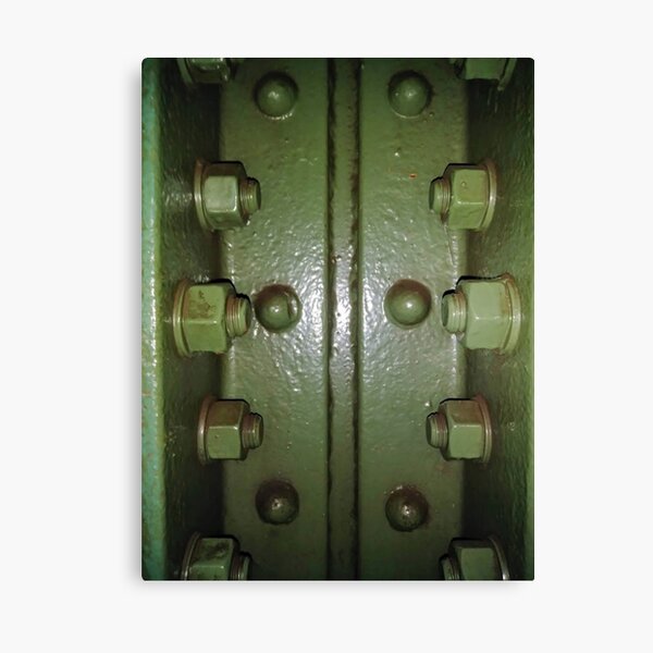 #lock #door #handle #knob steel metallic security old panel safety rusty keyhole entrance doorknob gate Canvas Print