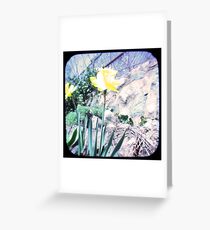 Daffy TTV Greeting Card