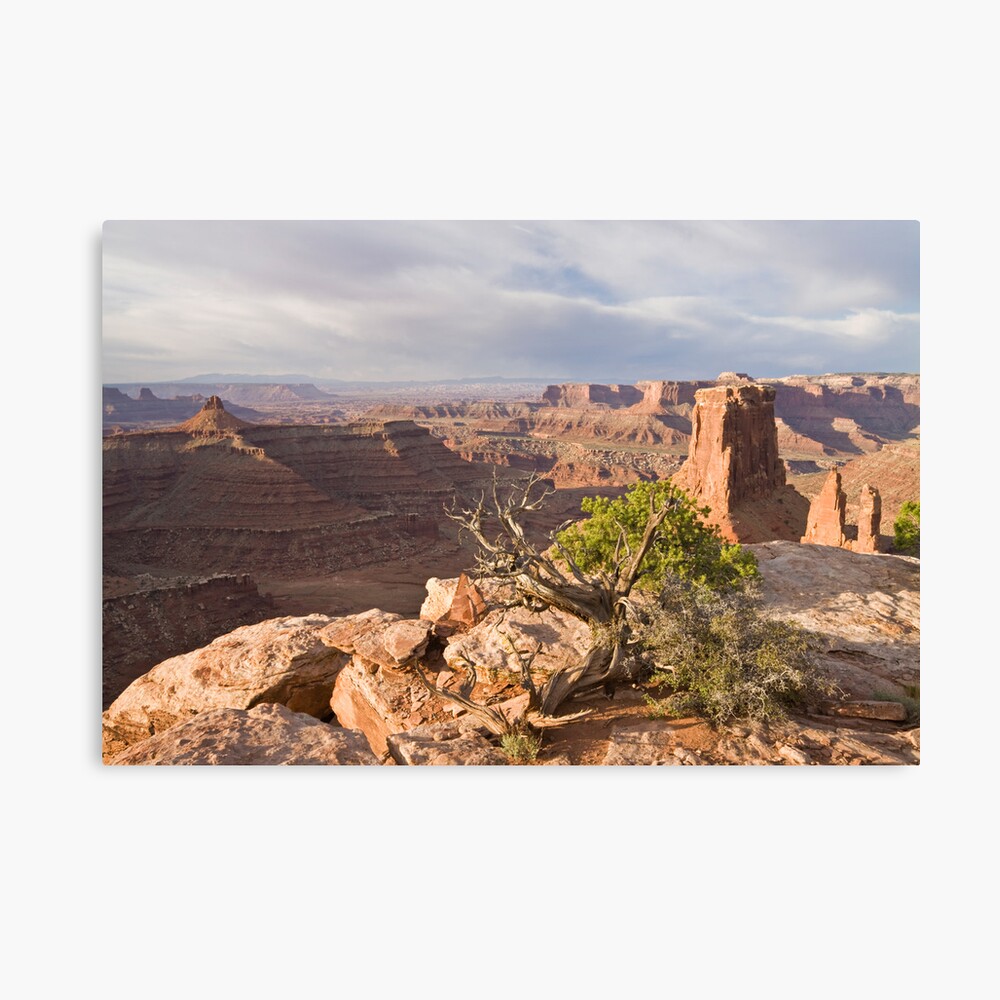 Morning Near Moab Canvas Print
