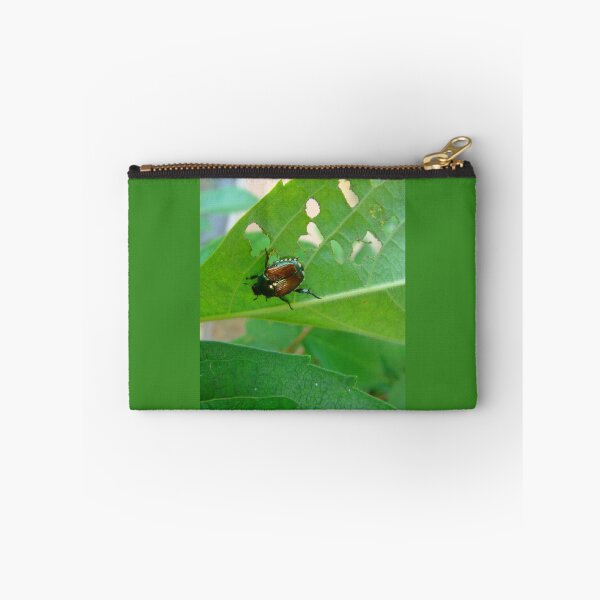 Item preview, Hungry Beetle designed and sold by Solora.