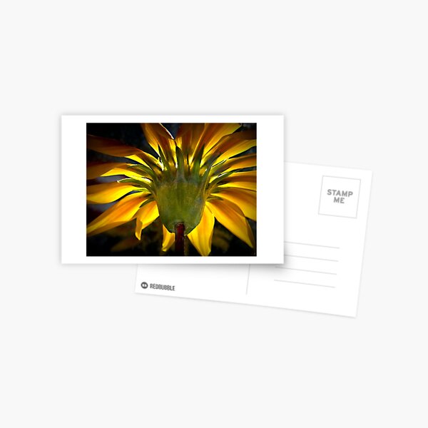 Light Me Up Postcard