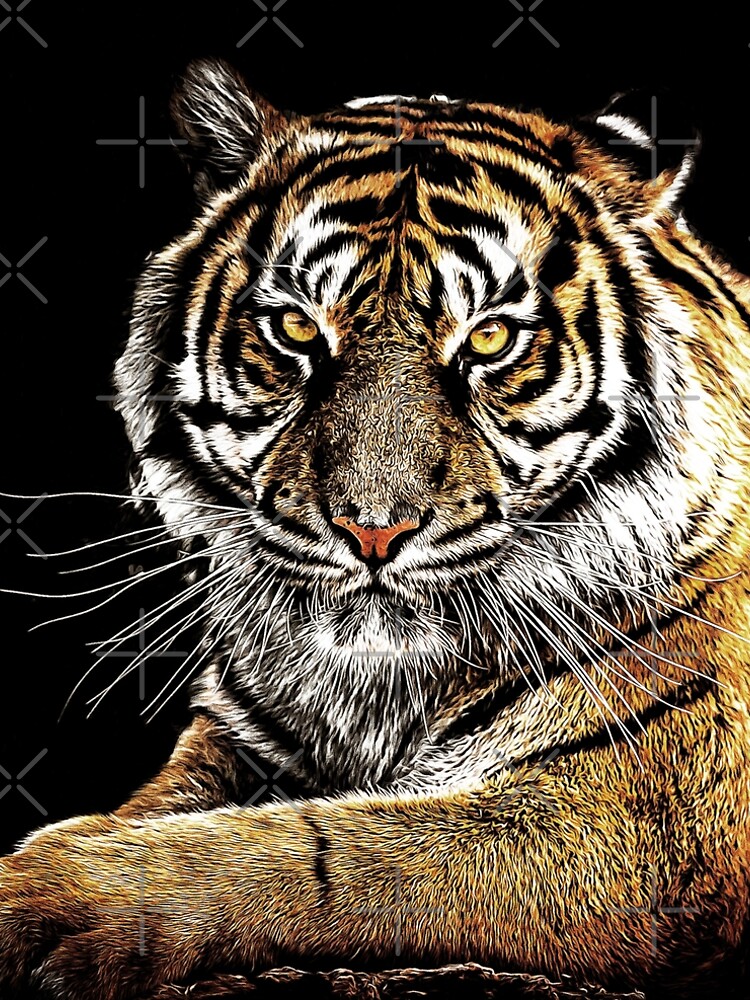 Tiger by perkinsdesigns