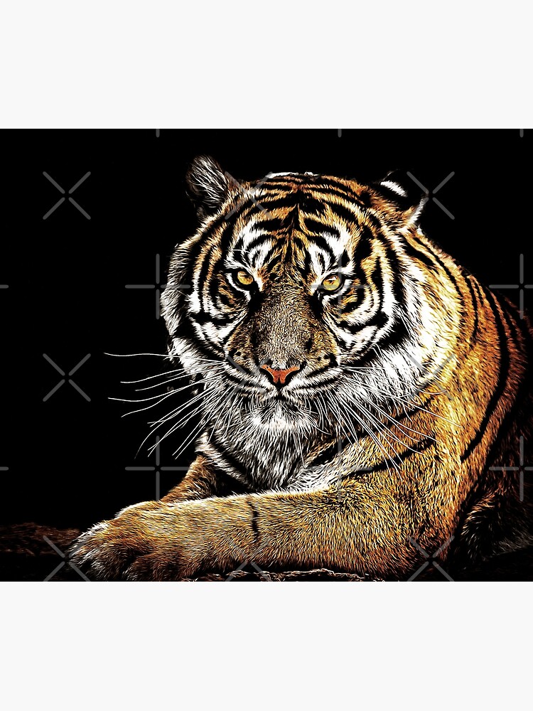 Tiger by perkinsdesigns