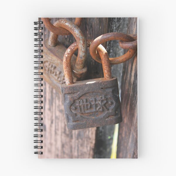 Aperçu de l'œuvre Padlock on a Door créée et vendue par rhamm.
