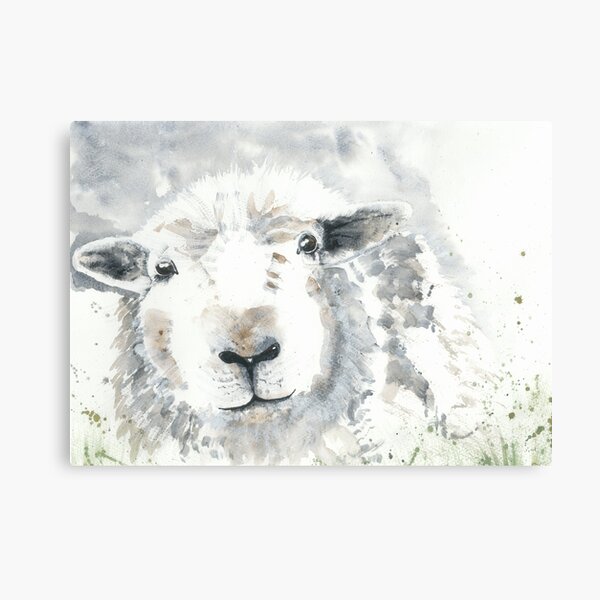 Sheep Canvas Print
