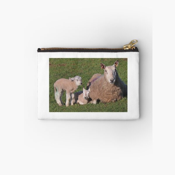 Item preview, Sheep with her Lambs designed and sold by BryanDevon.