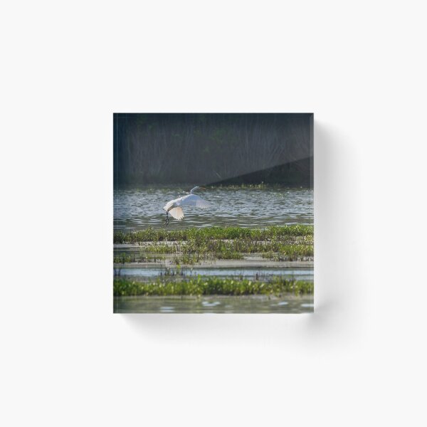 Item preview, Graceful White Egret designed and sold by mljdwhite.