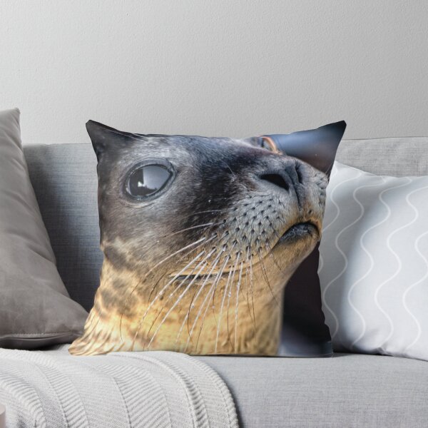 Artikelvorschau,  England

Was kann man sagen? Er ist nur ein Baby, aber er hat einen mächtigen Satz beeindruckender Schnurrhaare! Das Mablethorpe Seal Sanctuary nimmt Tiere auf, die an der Küste von East Anglia gestrandet oder verletzt sind entworfen und verkauft von hebrideslight.