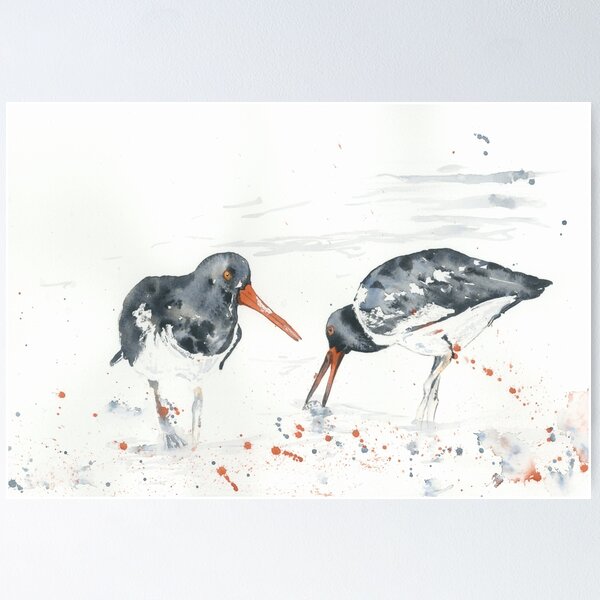 Oyster catchers Poster