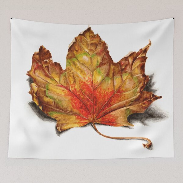 Item preview, Autumn Leaf designed and sold by Gareth Massam.