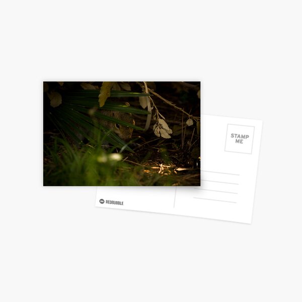 Item preview, Squirrel in the bush designed and sold by Roberto Irace.