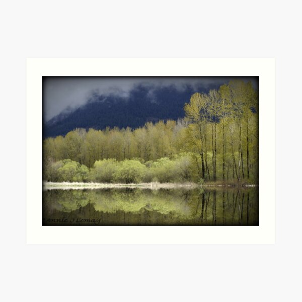 Trees of Spring Art Print