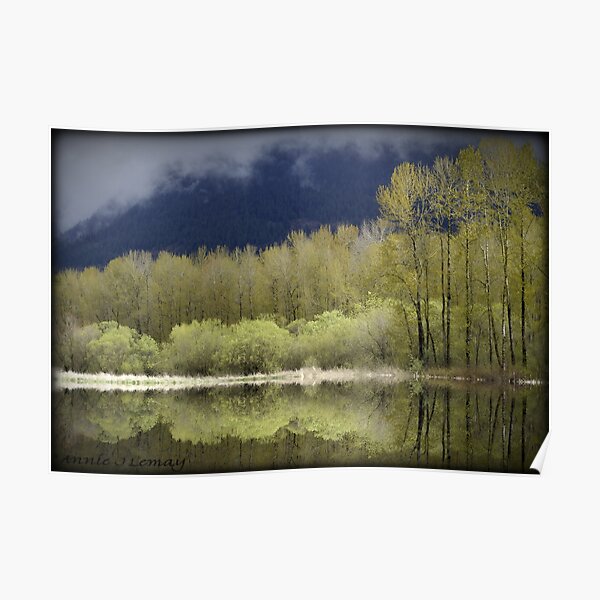 Trees of Spring Poster