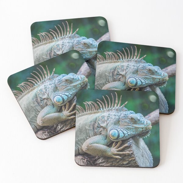 Item preview, Iguana designed and sold by Delphimages Art.