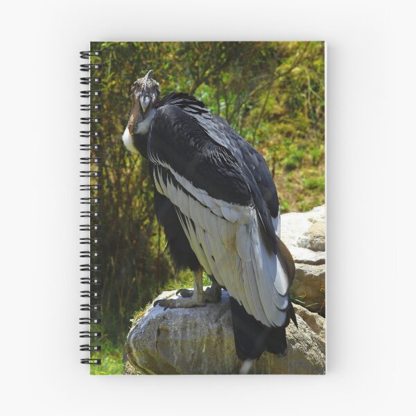 Item preview, Andean Condor designed and sold by rhamm.
