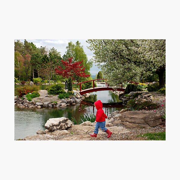 Item preview, Boy In Red  designed and sold by Terri Stapleton.