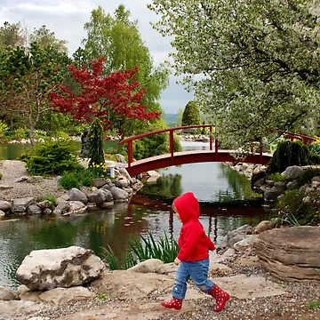Artwork thumbnail, Boy In Red by Terri Stapleton