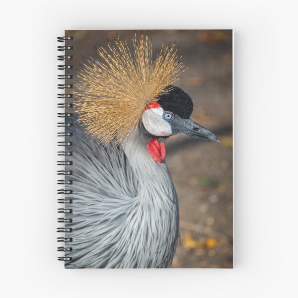 Item preview, Grey crowned crane designed and sold by Delphimages Art.