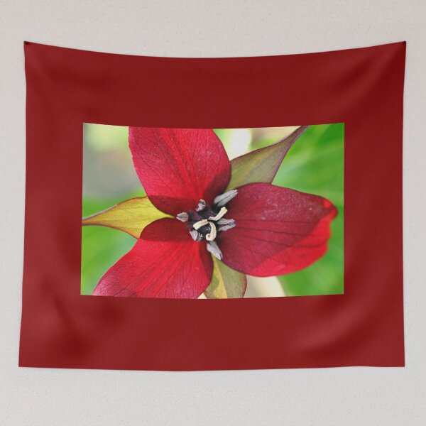 Item preview, Dark Red Trillium designed and sold by Deb Oppermann.