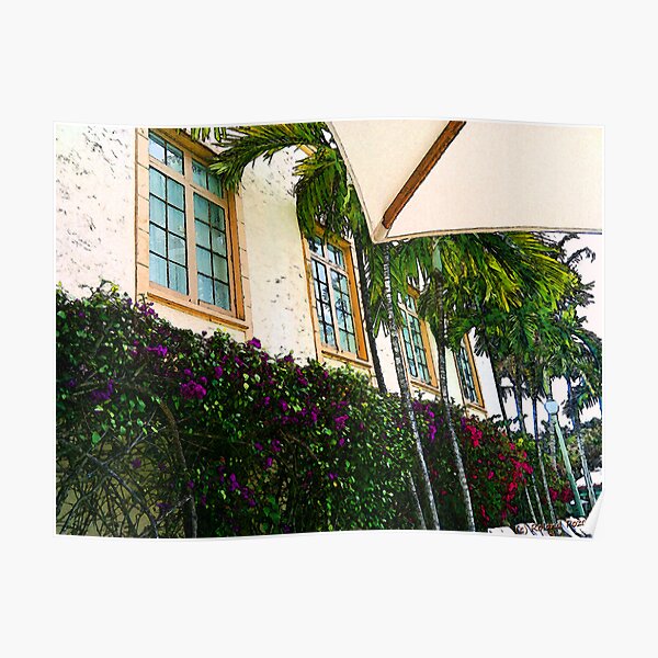Purple and Red Bougainvillea Art Poster