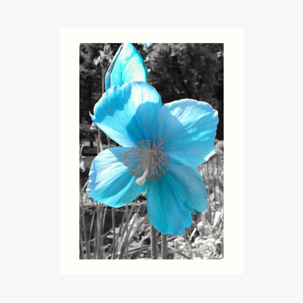 Blue Art Print