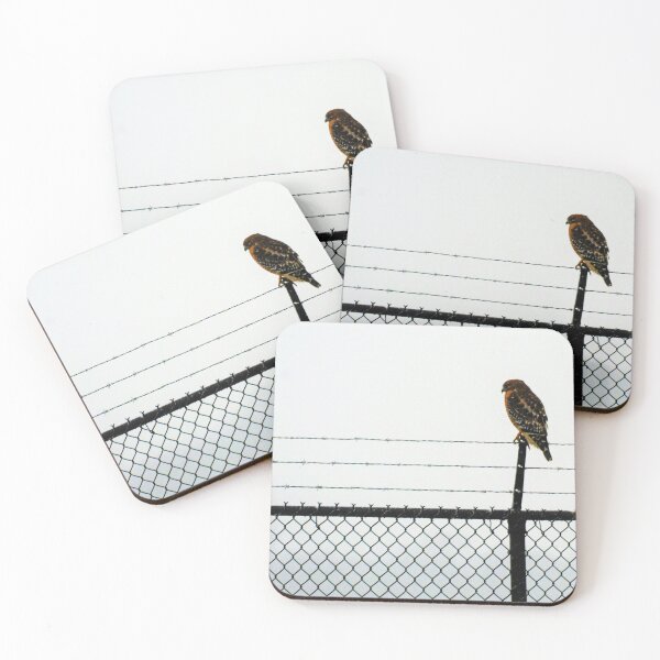 Item preview, Hawk on a Barb in the Snow designed and sold by Respite Artwork.