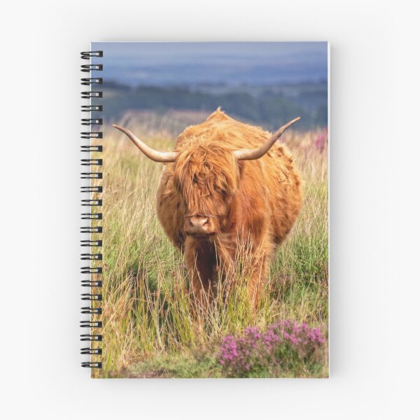 Item preview, Highland cow in the moor designed and sold by Delphimages Art.