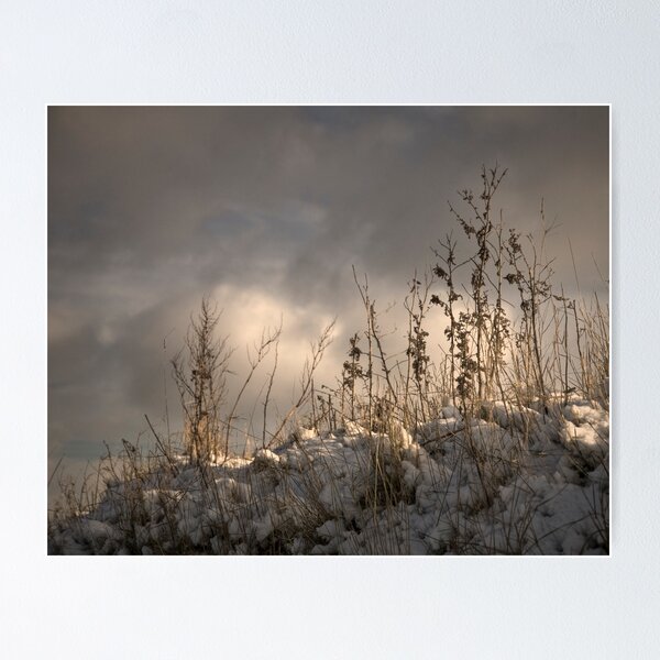 Item preview, Snow Fun designed and sold by Henri Ton.