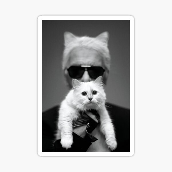 Karl avec Choupette Sticker