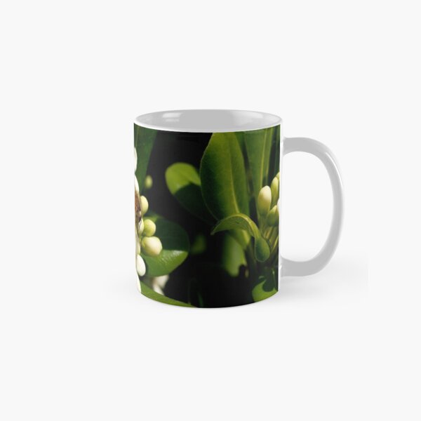 Honeybee at Her Springtime Work Classic Mug