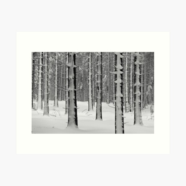 Forêt en hiver Impression artistique