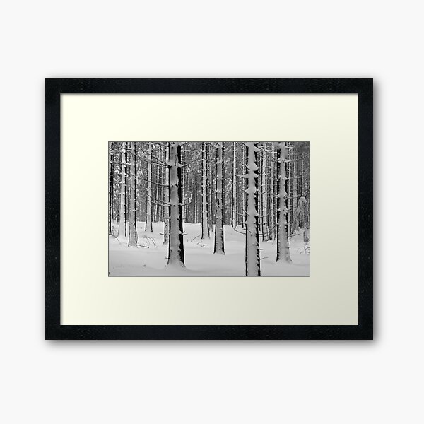 Forêt en hiver Impression encadrée