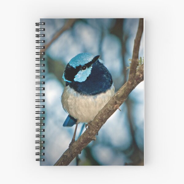 Item preview, Inquisitive designed and sold by Barb Leopold.