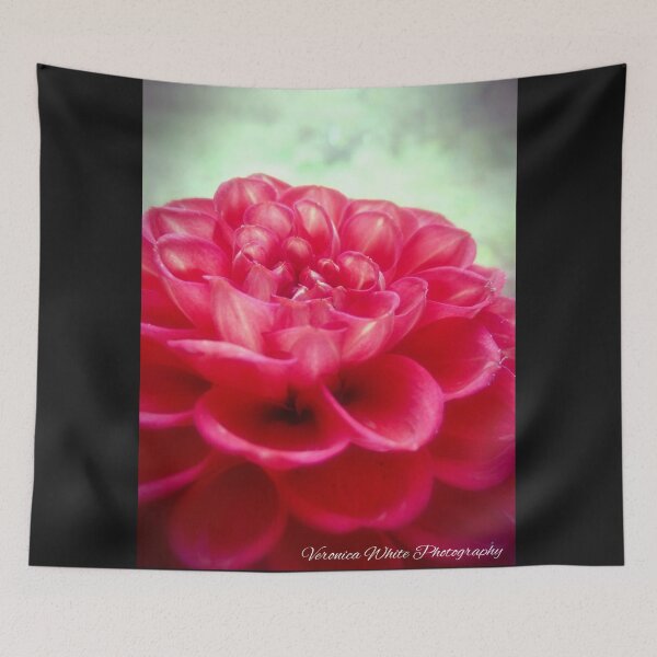 Item preview, Frosted Dahlia designed and sold by Veronica White.