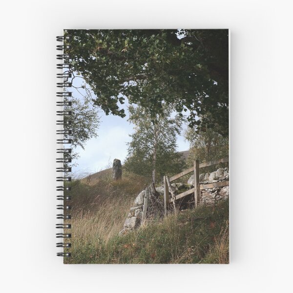 Item preview, Standing Stone, Spittal of Glenshee designed and sold by ShinyPhoto.
