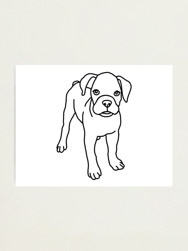 Lámina fotográfica «Boxer, perro, cachorro, dibujo» de nijess | Redbubble