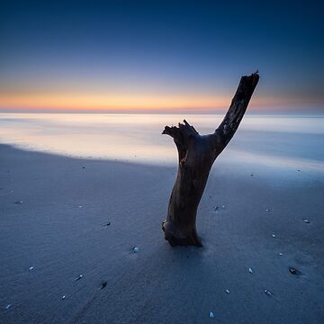 Artwork thumbnail, Baltic Colours I by AVTG