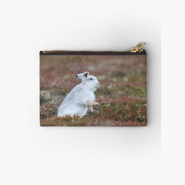 Item preview, Wet mountain hare shaking off the rain  designed and sold by chanonry.