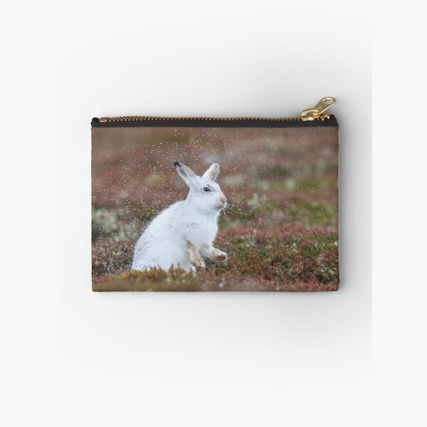 Item preview, Wet mountain hare shaking off the rain  designed and sold by chanonry.