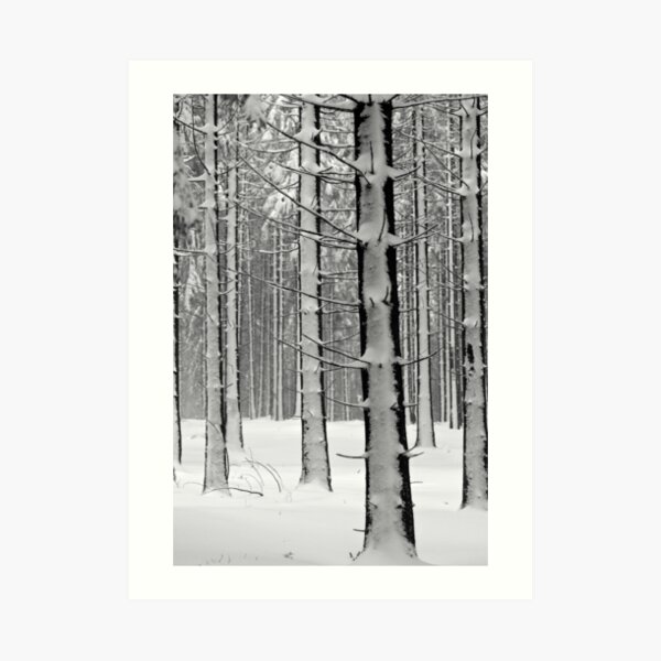 Forêt en hiver Impression artistique