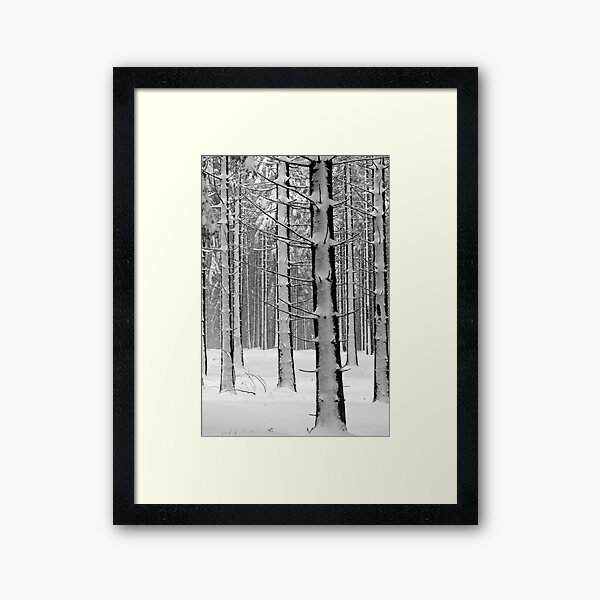 Forêt en hiver Impression encadrée