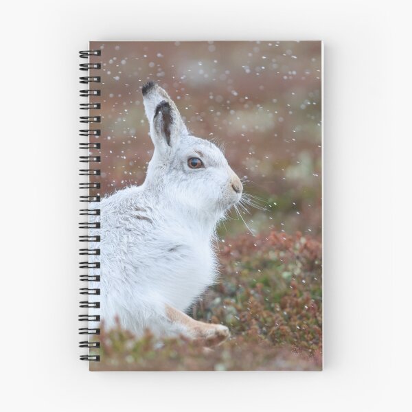 Item preview,  mountain hare  designed and sold by chanonry.