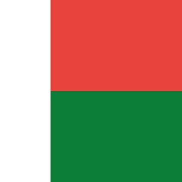 Aperçu de l'œuvre Drapeau du Madagascar de Shorlick