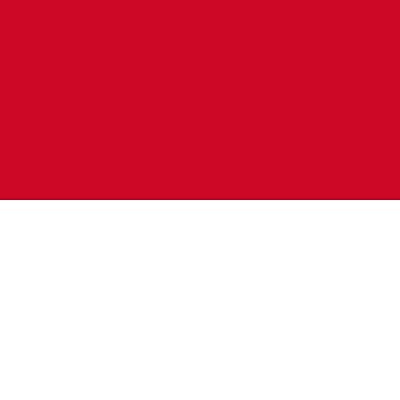 Aperçu de l'œuvre Drapeau de Monaco de Flags & Cie
