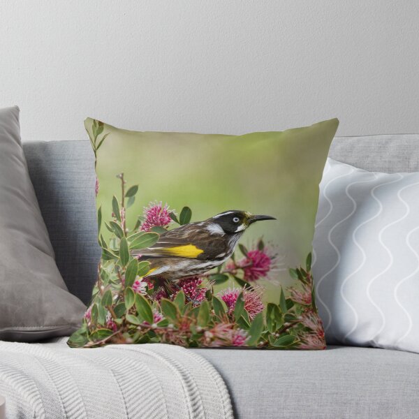 Artikelvorschau,  ein New Holland Honeyeater auf einem Grevillea Busch. Sie lieben den Nektar der Blumen. Canon 7D entworfen und verkauft von Barb Leopold.
