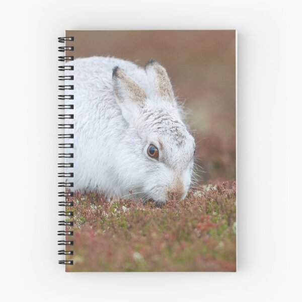 Item preview,  mountain hare  designed and sold by chanonry.