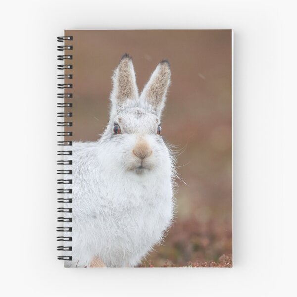 Item preview,  mountain hare  designed and sold by chanonry.