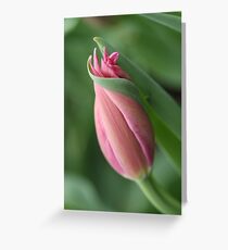 I Rest in Your Embrace Greeting Card